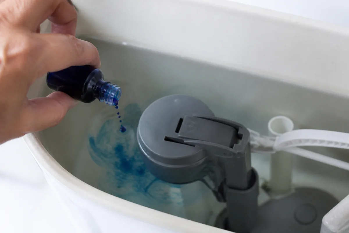 Colorant versé dans un réservoir de WC ouvert pour tester l&rsquo;étanchéité de la cloche